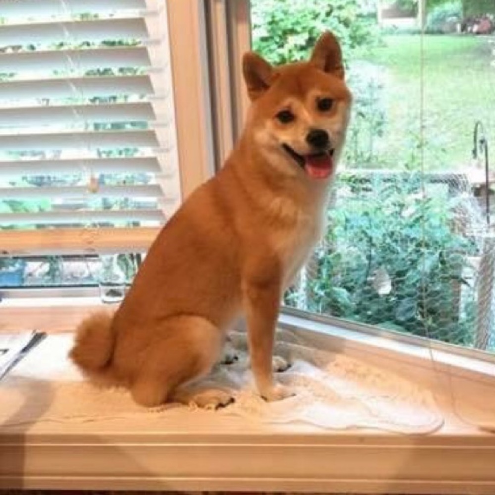 Meet your Posher, Jehnna